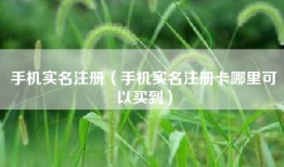 手机实名注册（手机实名注册卡哪里可以买到）