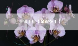 金银手机（金银在手）