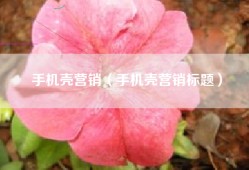 手机壳营销（手机壳营销标题）