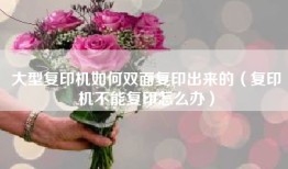 大型复印机如何双面复印出来的（复印机不能复印怎么办）