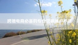 跨境电商必备的专业营销推广术语