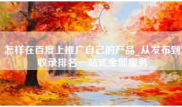怎样在百度上推广自己的产品_从发布到收录排名一站式全部服务