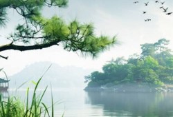 云南旅游全攻略：详尽行程规划、景点推荐及当地特色体验一应俱全