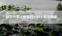 微信开发（微信扫一扫）商品创建