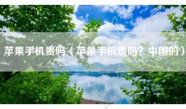 苹果手机贵吗（苹果手机贵吗？中国的）
