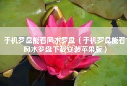 手机罗盘能看风水罗盘（手机罗盘能看风水罗盘下载安装苹果版）