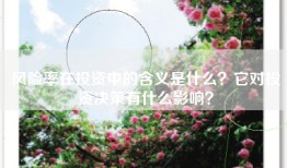 风险率在投资中的含义是什么？它对投资决策有什么影响？