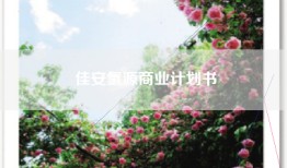 佳安氢源商业计划书