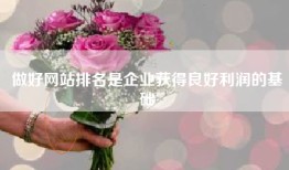 做好网站排名是企业获得良好利润的基础