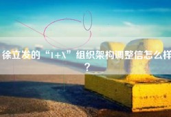 徐立发的“1+X”组织架构调整信怎么样？