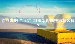徐立发的“1+X”组织架构调整信怎么样？