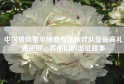 中国援助塞尔维亚专家医疗队受最高礼遇迎接，看他们的出征故事