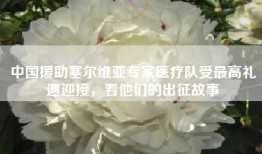 中国援助塞尔维亚专家医疗队受最高礼遇迎接，看他们的出征故事