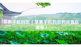 苹果手机的密（苹果手机的密码设置在哪里）