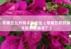 苹果怎么升级手机系统（苹果怎样升级手机系统版本？）