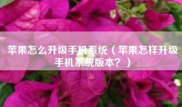 苹果怎么升级手机系统（苹果怎样升级手机系统版本？）