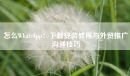 怎么WhatsApp：下载安装教程与外贸推广沟通技巧