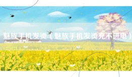 魅族手机发烫（魅族手机发烫充不进电）