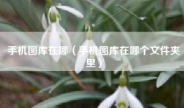 手机图库在哪（手机图库在哪个文件夹里）