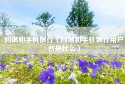网银和手机银行（网银和手机银行用户名是什么）