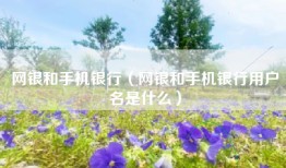 网银和手机银行（网银和手机银行用户名是什么）