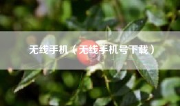 无线手机（无线手机号下载）