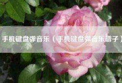 手机键盘弹音乐（手机键盘弹音乐谱子）