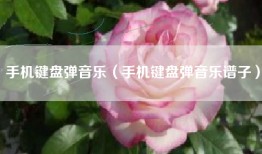手机键盘弹音乐（手机键盘弹音乐谱子）
