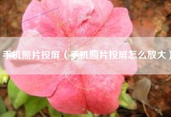 手机照片投屏（手机照片投屏怎么放大）