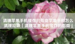清理苹果手机缓存的指南苹果手机怎么清理垃圾「清理苹果手机缓存的指南」