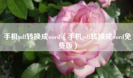手机pdf转换成word（手机pdf转换成word免费版）