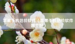 苹果手机估价软件（苹果手机估价软件哪个好）