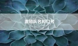 激励队名和口号