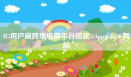 H5用户端跨境电商平台搭建--App+H5+网站