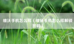 维沃手机怎么样（维沃手机怎么样解锁密码）