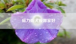 磁力防火板哪家好