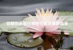 仙都街道新任领导引领发展新篇章