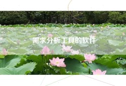 需求分析工具的软件