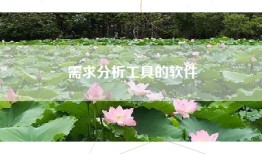 需求分析工具的软件