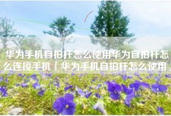 华为手机自拍杆怎么使用华为自拍杆怎么连接手机「华为手机自拍杆怎么使用」
