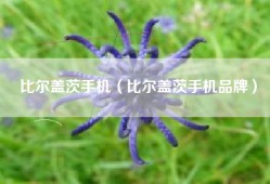 比尔盖茨手机（比尔盖茨手机品牌）