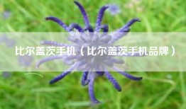 比尔盖茨手机（比尔盖茨手机品牌）