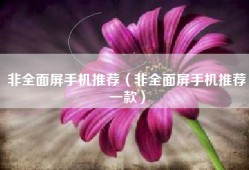非全面屏手机推荐（非全面屏手机推荐一款）