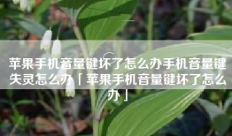 苹果手机音量键坏了怎么办手机音量键失灵怎么办「苹果手机音量键坏了怎么办」