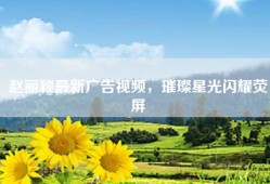 赵丽颖最新广告视频，璀璨星光闪耀荧屏