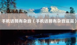 手机话筒有杂音（手机话筒有杂音滋滋）