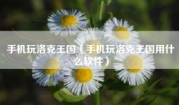 手机玩洛克王国（手机玩洛克王国用什么软件）