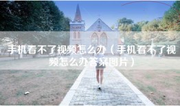 手机看不了视频怎么办（手机看不了视频怎么办答案图片）