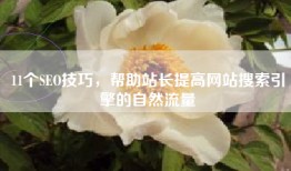 11个SEO技巧，帮助站长提高网站搜索引擎的自然流量
