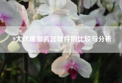 9大代理服务器软件的比较与分析